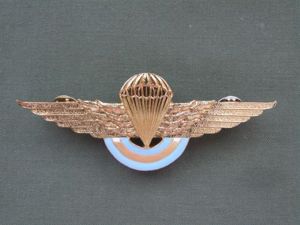 Argentine Air Force Officers Parachute Wings