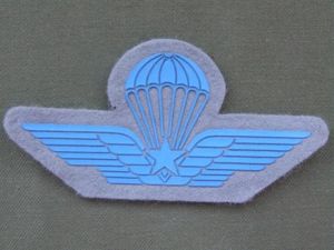 Italy Army Parachute Wings