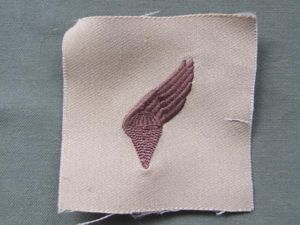 Latvia National Guard Desert Uniform Parachute Badge
