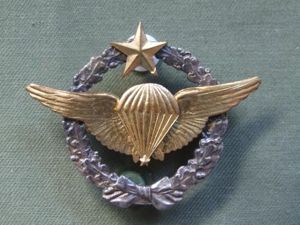 France Air Force Parachute Wings