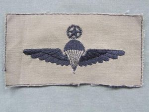 Malaysia Combat Dress Freefall Parachute Wings