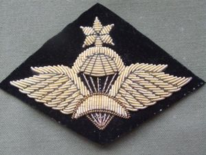 Ethiopia Army Senior Parachute Wings