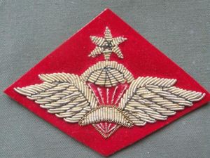 Ethiopia Army Senior Parachute Wings