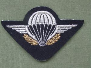 France B.I.P.M. Dress Uniform Parachute Wings