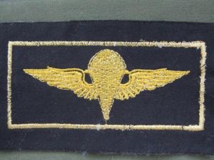 Egypt Army Basic Parachute Wings