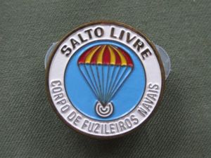 Brazil Marines Freefall Parachute Badge