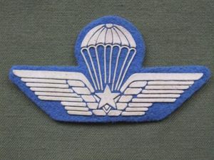 Italy Army Parachute Wings