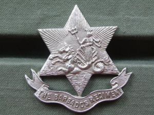 The Barbados Regiment Other Ranks 1948 -1960 Cap Badge