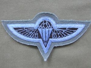Nepal Army Parachute Wings