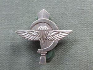 Israel Airborne Forces 'Nahal Paratrooper' Pin Badge