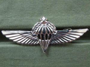 Israel Defence Force Advanced Parachute Wings