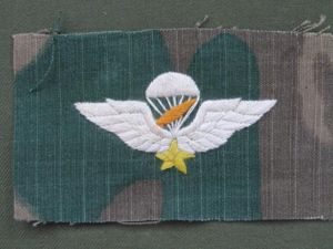 Republic of Vietnam Master Parachute Wings