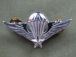 Republic of Vietnam Army Basic Parachute Wings