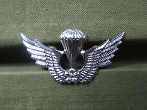 Republic of Korea Army Basic Parachute Wings