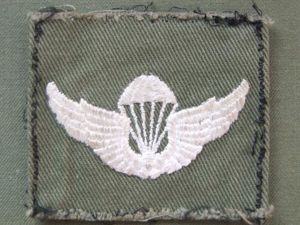 Republic of Korea Army Basic Parachute Wings