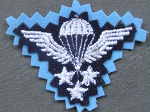 Iran Master Parachute Wings