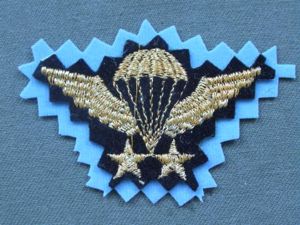 Iran Senior Parachute Wings