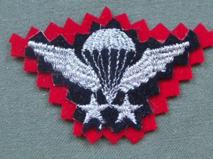 Iran Senior Parachute Wings