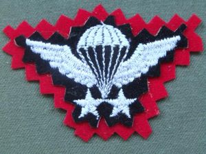 Iran Senior Parachute Wings