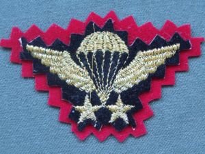 Iran Senior Parachute Wings