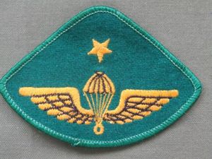 Greece Navy Senior Parachute Wings