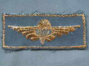 Egypt Army Basic Parachute Dress Wings