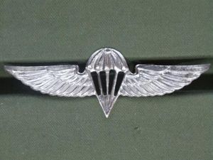 Israel Defence Force Basic Parachute Wings