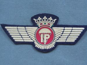 Spain Army Pre 1977 Parachute Instructor-Rigger (Over 100 Jumps) Wings