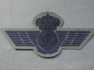 Spain Post 1977 Parachute Rigger Combat Dress Wings