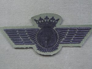 Spain Pre 1977 Parachute Instructor-Rigger Combat Dress Wings