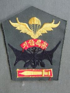 Republic of Korea Marine Corps Basic Parachute / Scuba Recon …