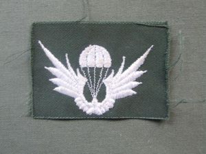 Republic of Korea Army Basic Parachute Wings