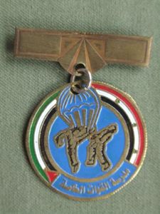 Iraq Pre 1991 Airborne Forces Unarmed Combat Medal