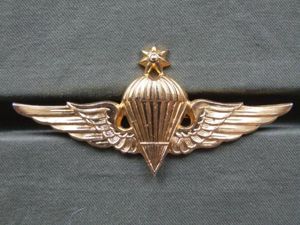 Jordan Army Advanced Parachute Wings