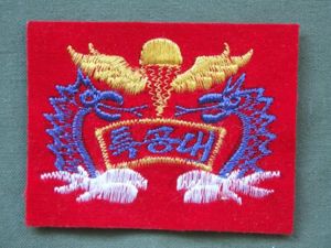 Republic of Korea Marine Corps Basic Amphibious Recon Parachute Wings