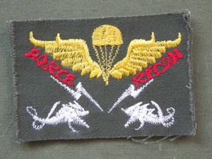 Republic of Korea Marine Corps Basic Force Recon Parachute Wings