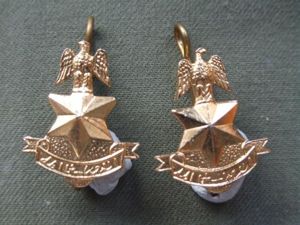 Nigeria Army Colonels Dress Collar Badges