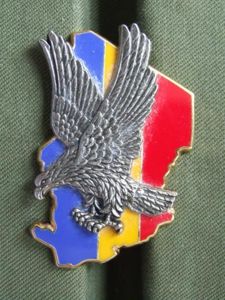 France TCHAD Operation 'Epervier' Pocket Crest