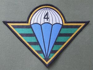 Czech Republic 4th Rapid Reaction Brigade Shoulder Patch
