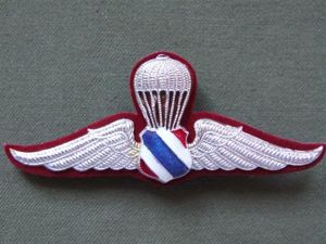 Thailand Border Patrol Police Basic Parachute Wings