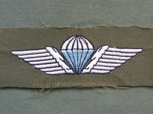 Denmark Army Parachute Wings