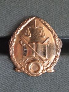 South African Prison Services Cap Badge