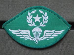 Greece Master Parachute Wings