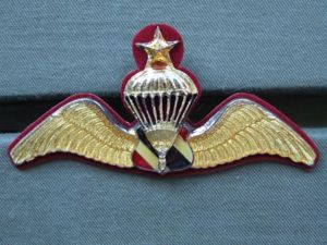 Thailand Border Partrol Police Senior Parachute Wings