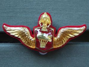 Thailand Balloon Parachute Jump Qualification Badge