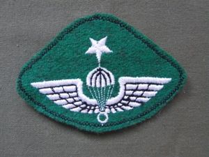 Greece Senior Parachute Wings