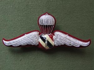 Thailand Border Police Parachute Wings