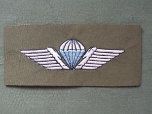 Denmark Parachute Wings