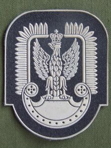 Poland post 1990 Air Force Airmans Beret Badge