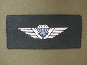 Denmark Army Parachute Wings